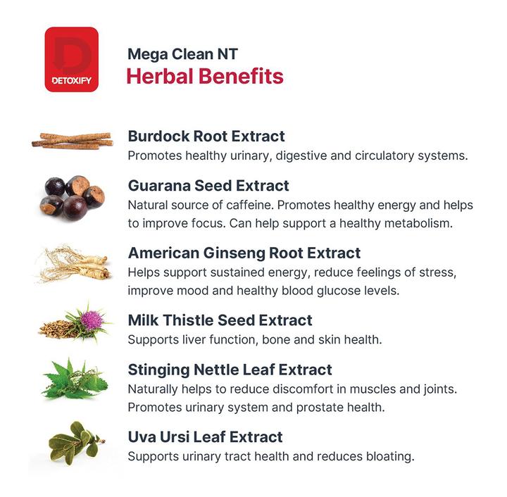 DETOXIFY Mega Clean NT Herbal Cleanse