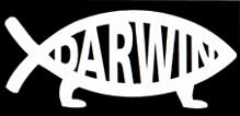 Darwin Fish Sticker – Sunshine Daydream