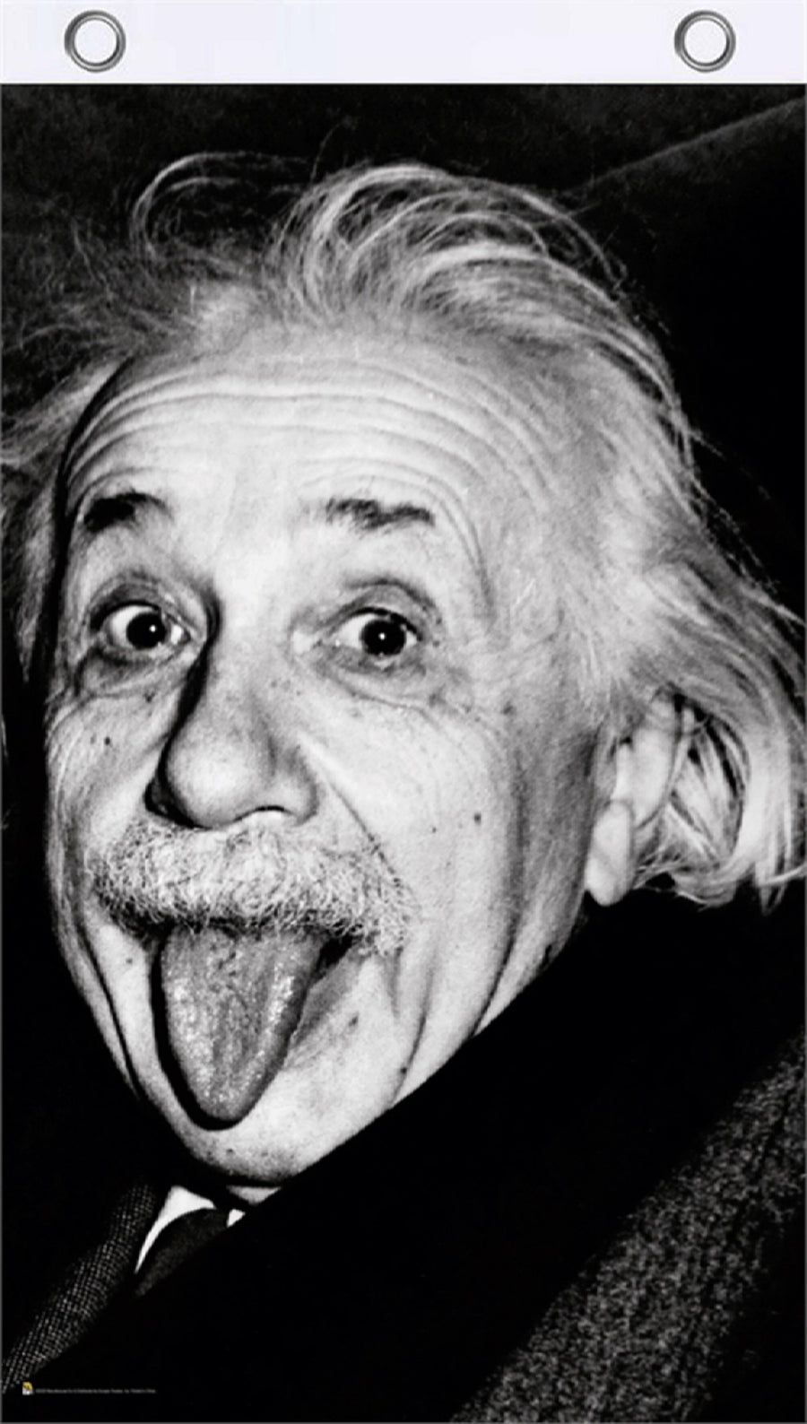 Einstein Tongue Flag 3'x5'