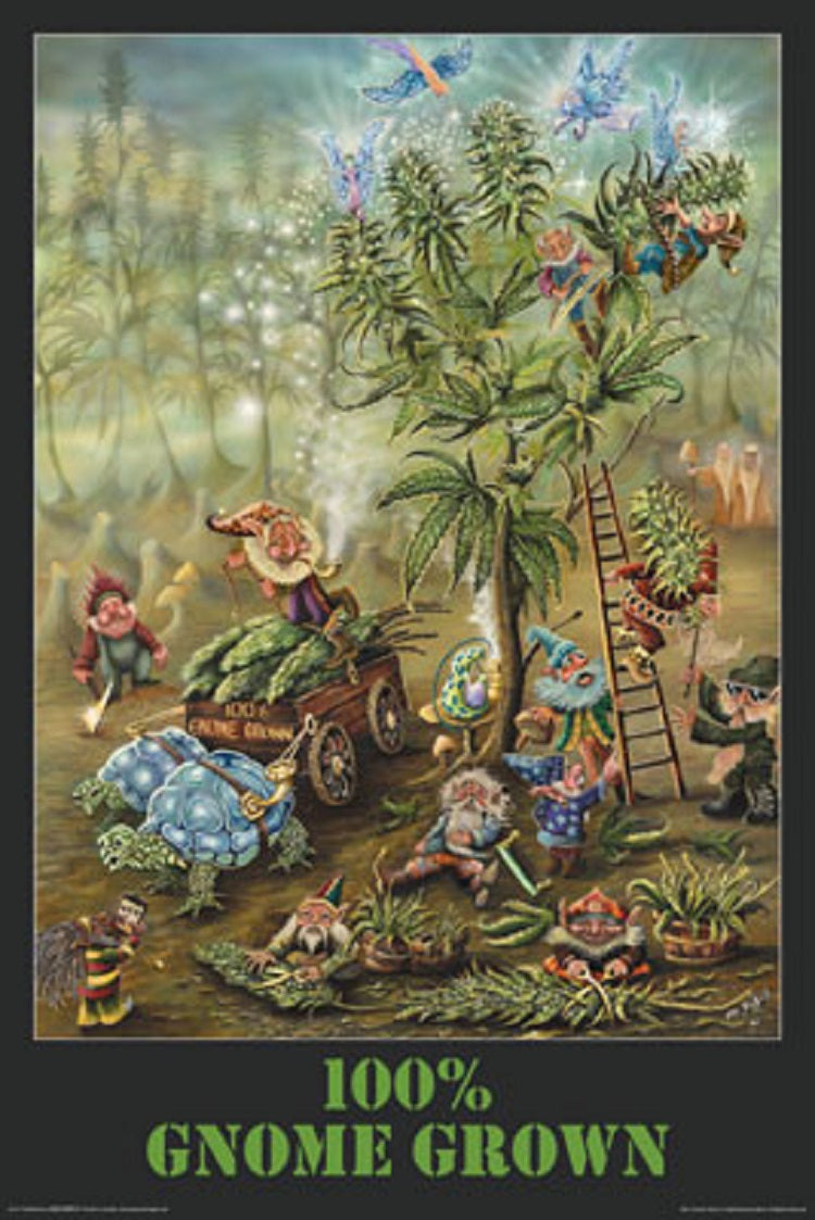 Gnome Grown Poster