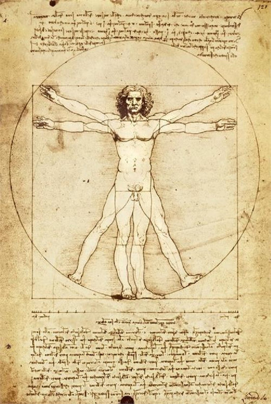 Leonardo Da Vinci Vitruvian Man Poster SALE