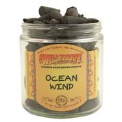 Ocean Wind Wild Berry Incense Cones