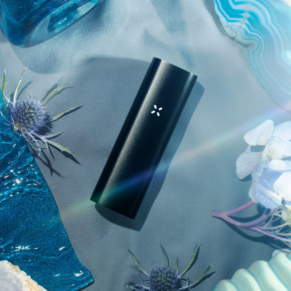 Pax 3 Vaporizer - Basic Kit - Onyx – Sunshine Daydream