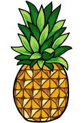 Pineapple Patch